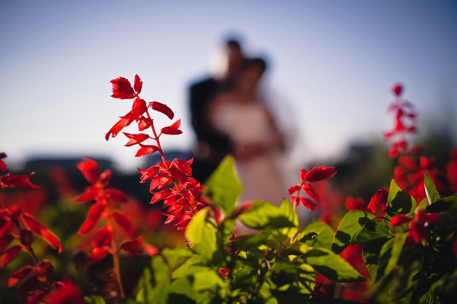 Claudiu Visan - fotograf nunta - Trash The Dress-24